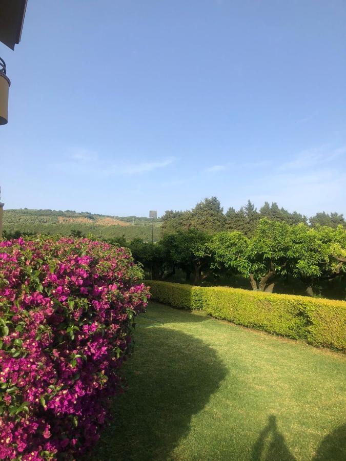 Casa Clementina Apartment Pizzo  Ngoại thất bức ảnh